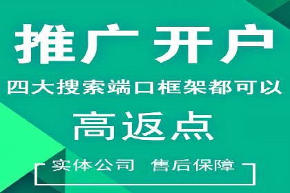 SEM推广在本地化服务中的应用案例